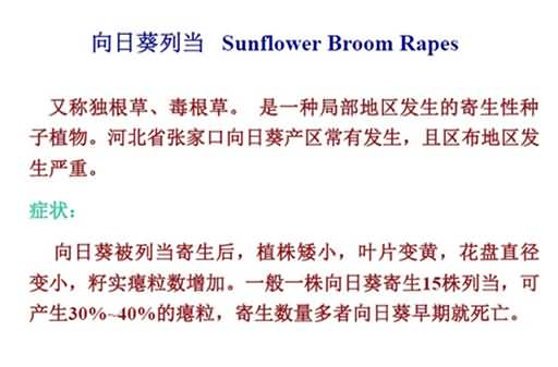 無(wú)標(biāo)題.jpg向_副本.jpg