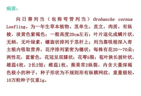 無(wú)標(biāo)題.jpg向1_副本.jpg