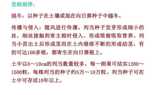 無(wú)標(biāo)題.jpg向4_副本.jpg